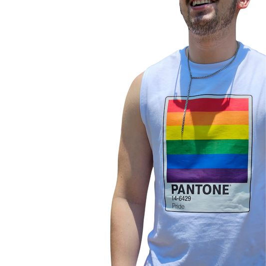 Camiseta PRIDE 2025