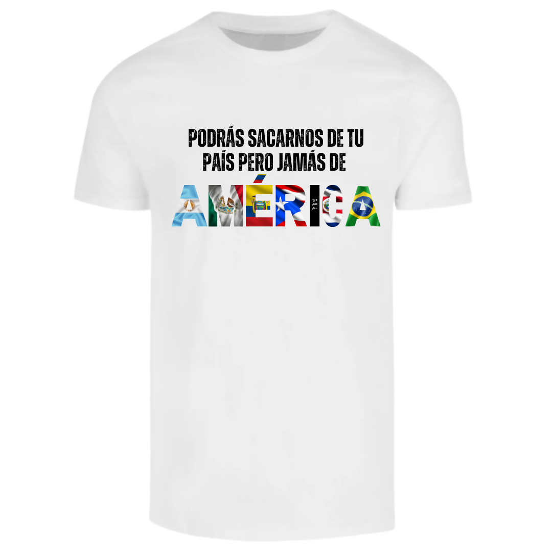 Camiseta We Are All AMERICA